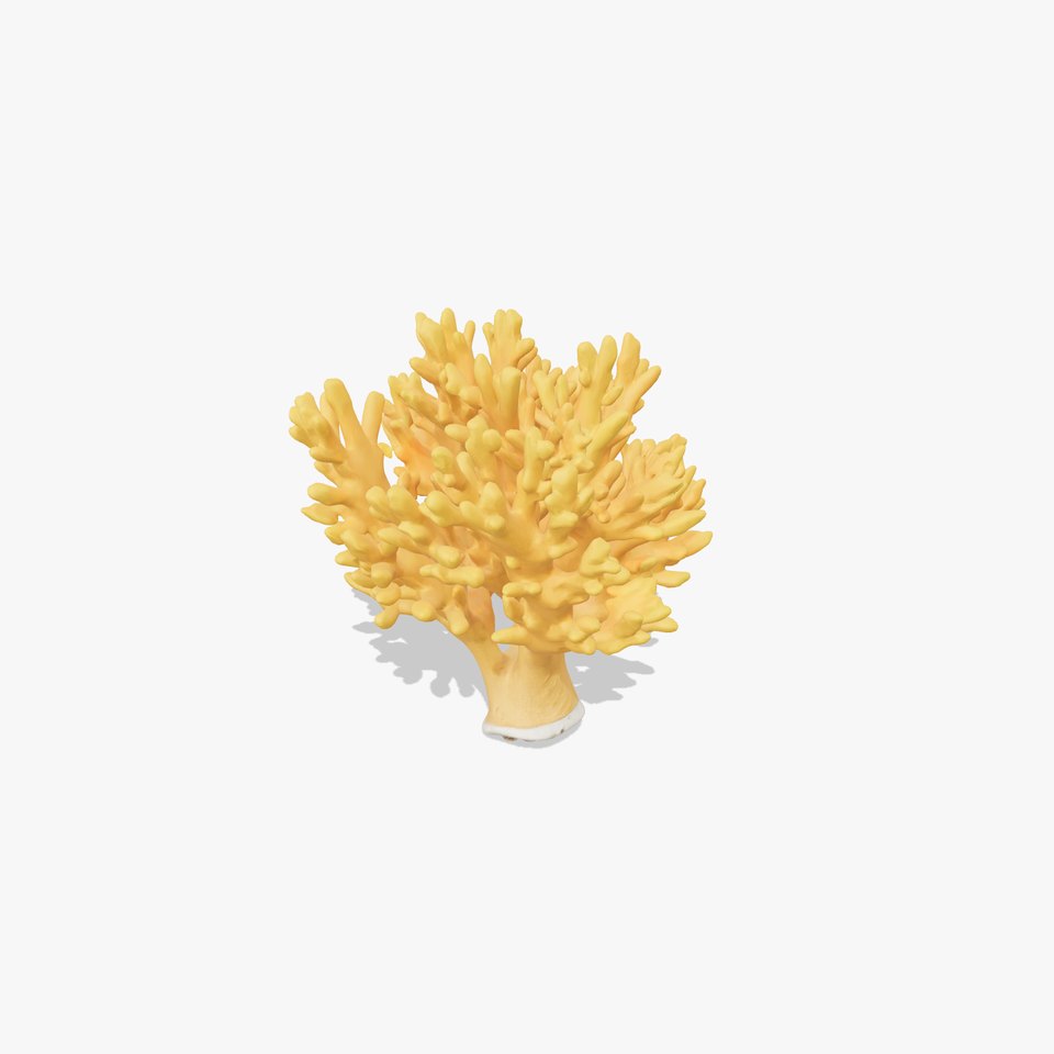 Yellow Coral Model Pack for Detailed D Environments